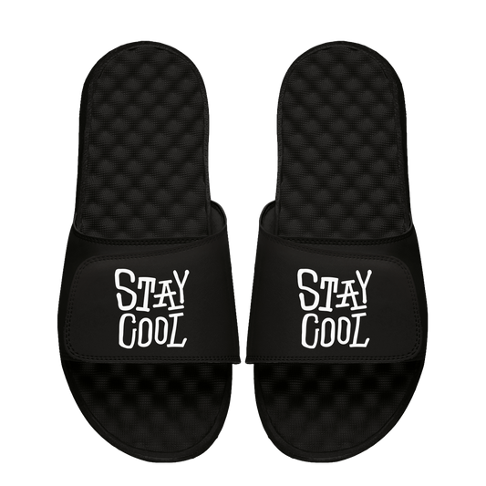 Staycool X ISlide Logo Slides