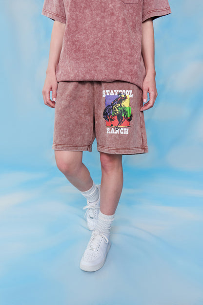Ranch Acid Wash Shorts (Chocolate)