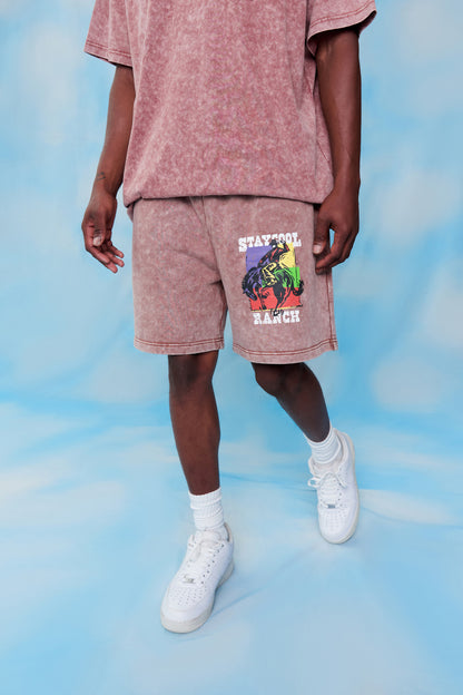 Ranch Acid Wash Shorts (Chocolate)