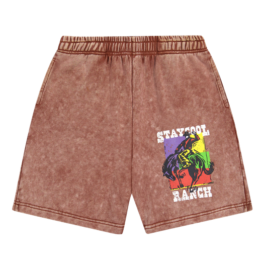 Ranch Acid Wash Shorts (Chocolate)
