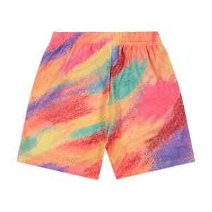 Yearbook Shorts (Multi)