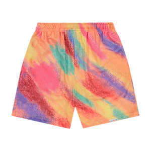 Yearbook Shorts (Multi)